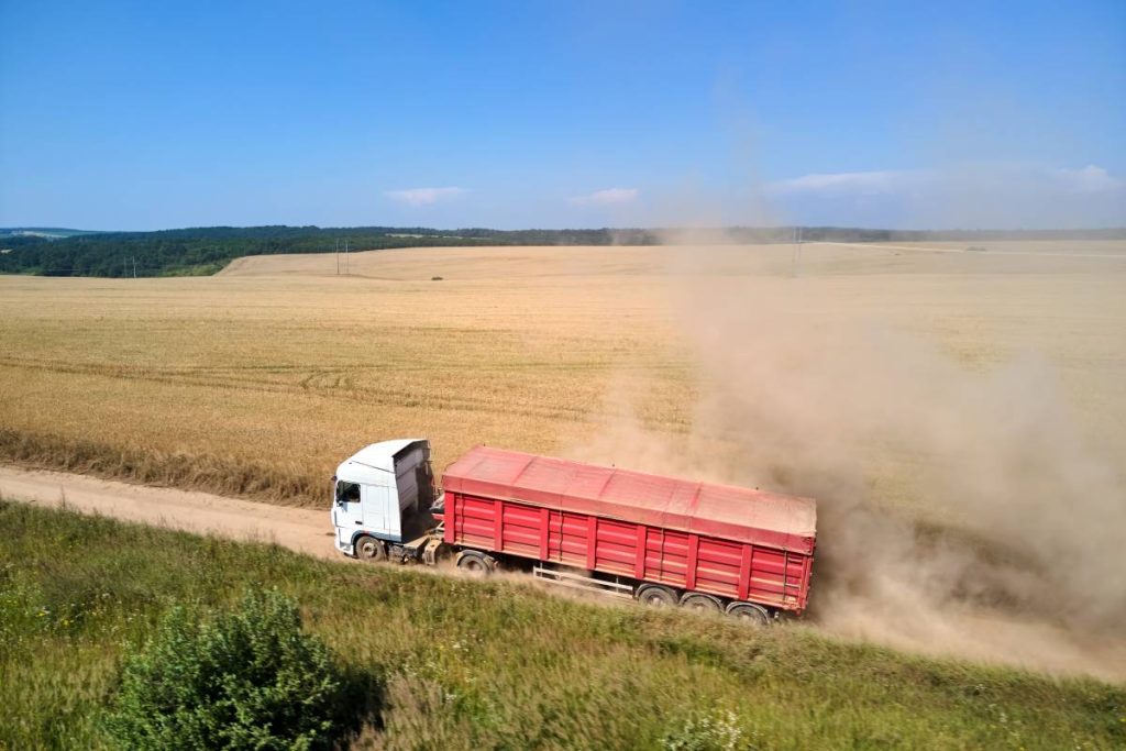 Aerial view of lorry cargo truck driving on dirt road between agricultural wheat fields. Transportation of grain after being harvested by combine harvester during harvesting season.