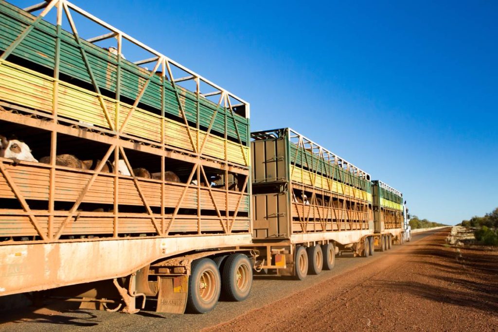 Gemtree, Australia - July 6 2015: An iconic 3 trailer Australian road train travels along the Plenty Hwy near Gemtree in Northern Territory, Australia