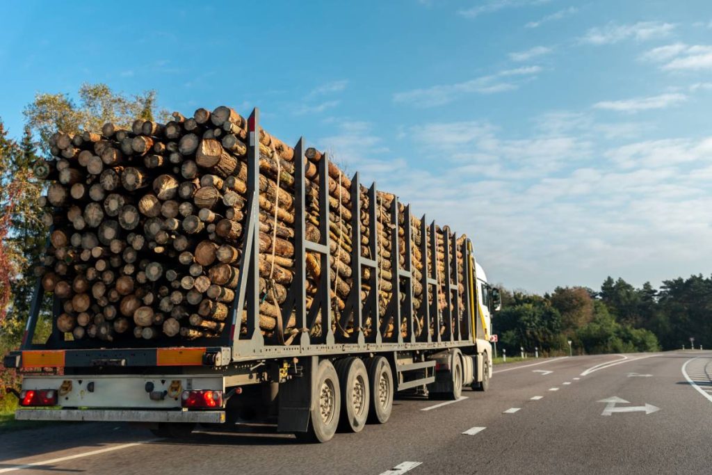 Long heavy industrial wood carrier cargo vessel truck trailer with big timber pine, spruce, cedar driving on highway road with blue sky background. Timber export and shipping concept.