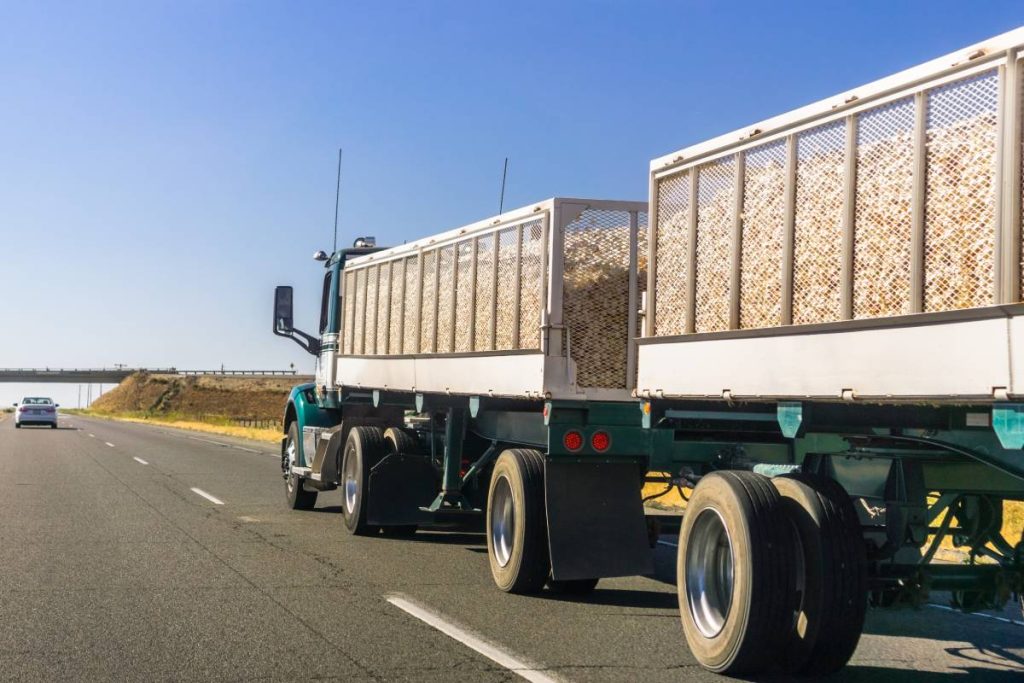 Truck delivering harvested onion on the interstate, California