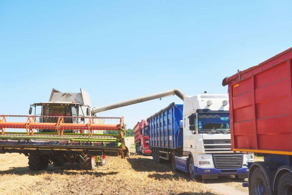 Combine harvester in action on wheat field. Harvesting is the process of gathering a ripe crop from the fields.