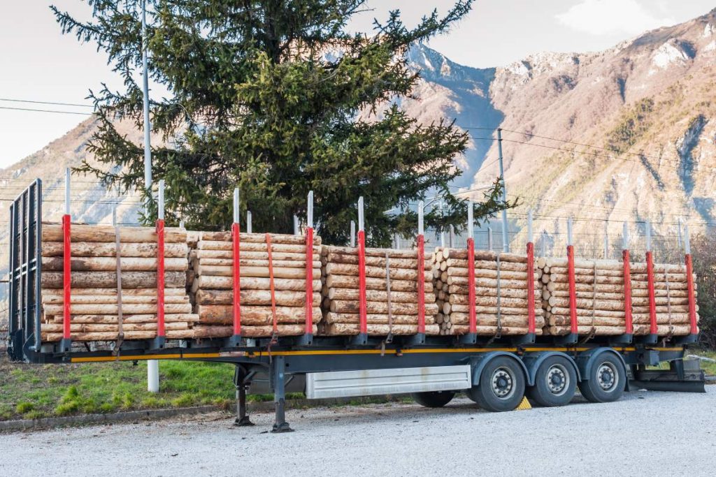 Forest industry. Trailer loaded with tree trunks.